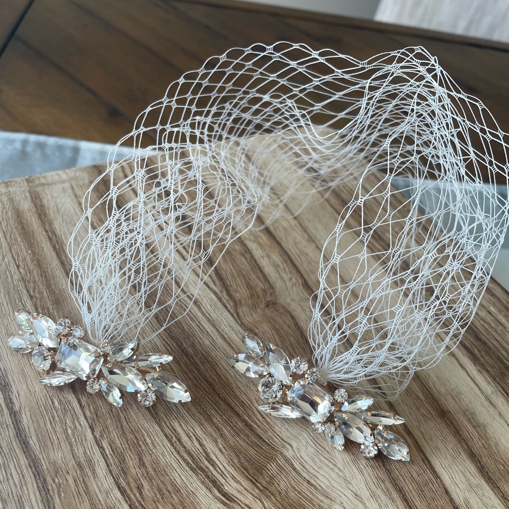 Bird cage veil